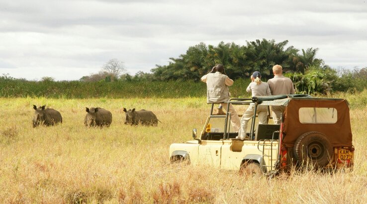 Tanzania Honeymoon Safari Activities