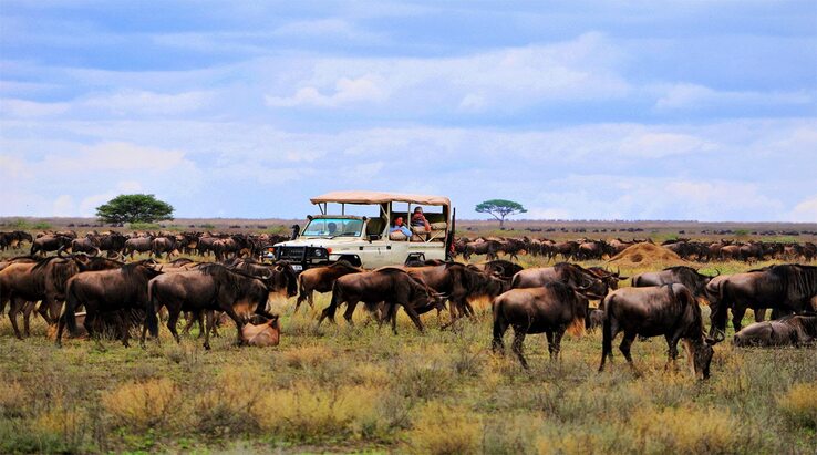 Serengeti National Park Activities