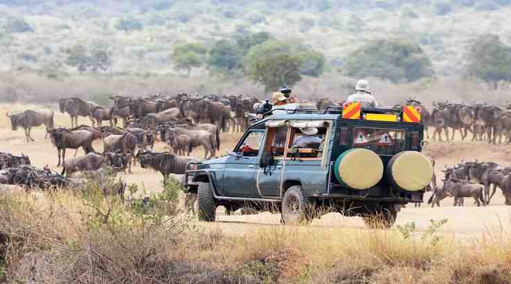 Tanzania Safari Activities Cost