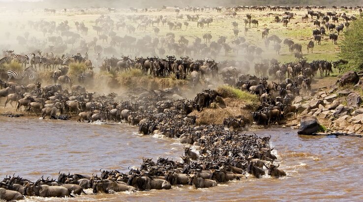 Serengeti Great Wildebeest Migration Tours