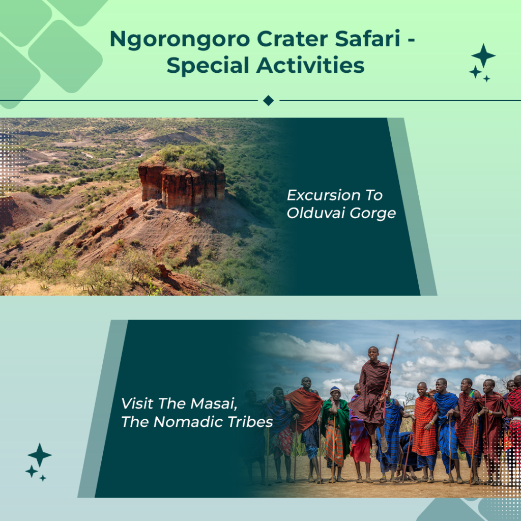 Ngorongoro Safari Activities