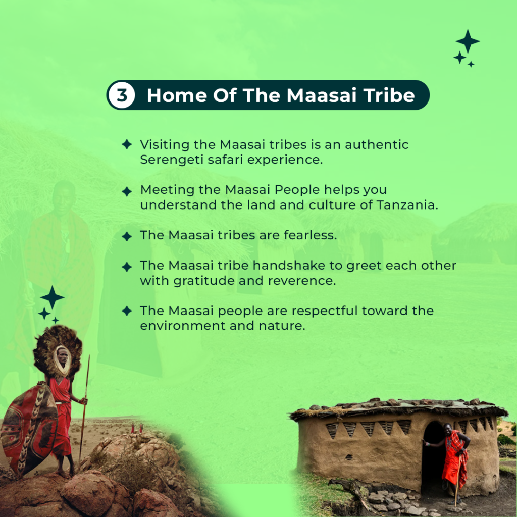 Masai Tribe 