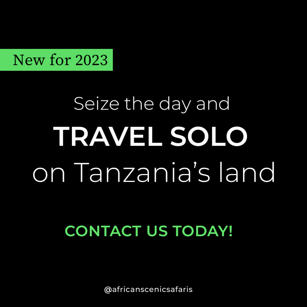 Tanzania Solo Travel
