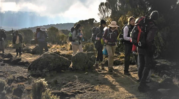 Kilimanjaro Northern Circuit