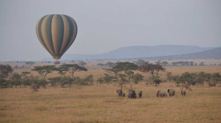 Activities In Tanzania National Parks
