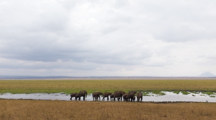 Tanzania National Parks